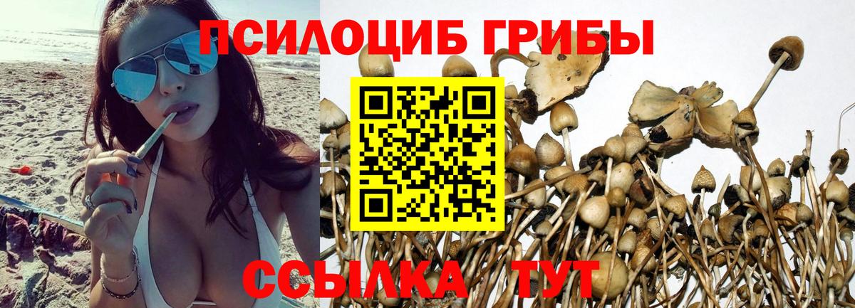 Россия  Псилоцибиновые грибы MAGIC MUSHROOMS  купить наркоту  Вход с VPN  Псилоцибиновые грибы Cubensis 