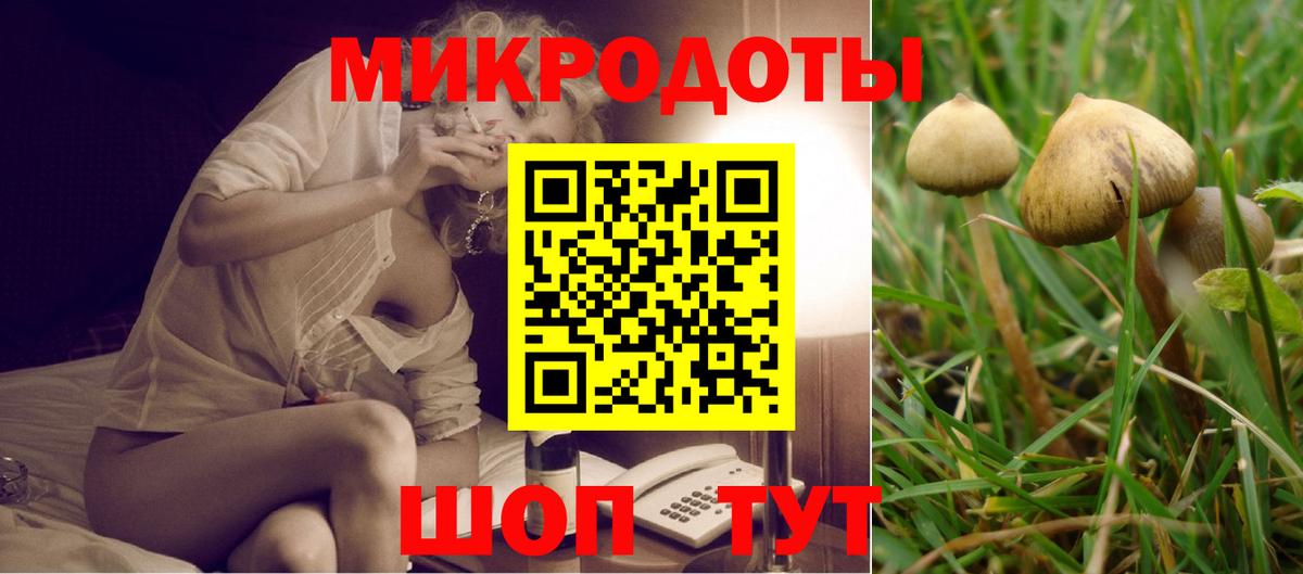 Псилоцибиновые грибы Magic Shrooms Россия
